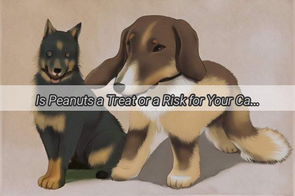 Is Peanuts a Treat or a Risk for Your Canine Companion Find Out Now